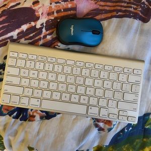 Apple Keyboard and Logitech Mouse